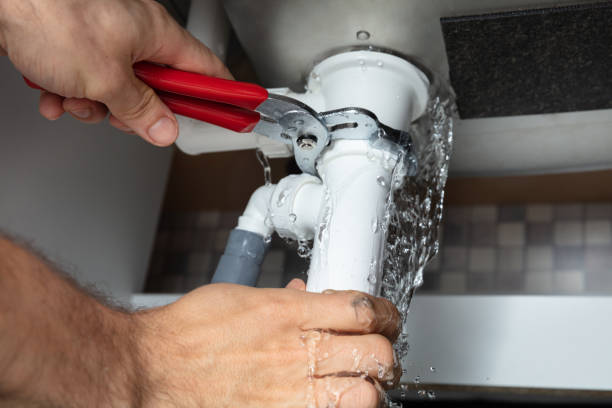 Best Sewage cleanup and water damage restoration  in Erwin, TN