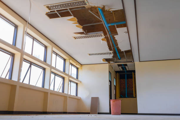 Carpet water damage restoration in Erwin, TN