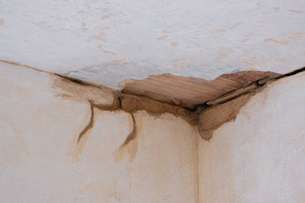 Best Water damage cleanup near me  in Erwin, TN