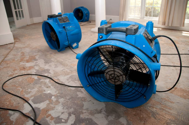 Trusted Erwin, TN Water damage restoration Experts