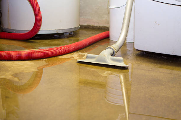 Best Local water damage restoration  in Erwin, TN