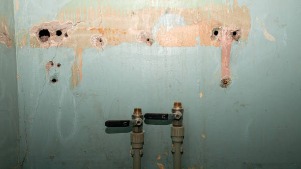 Best Sewage cleanup and water damage restoration  in Erwin, TN