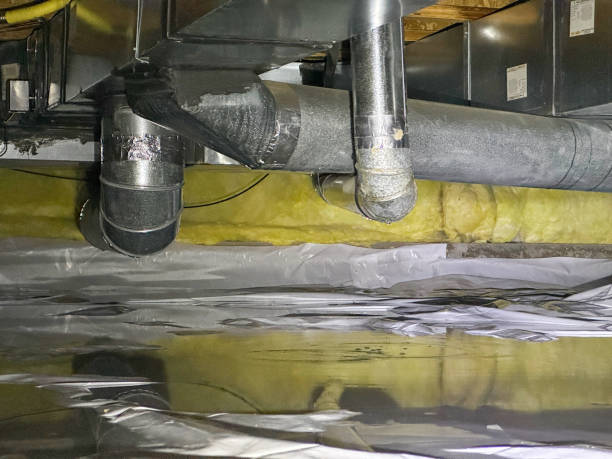 Best Flood restoration services  in Erwin, TN