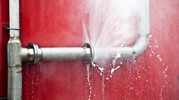 Best Carpet water damage restoration  in Erwin, TN